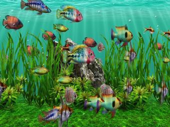 freshwater 3D aquarium dvd screensaver