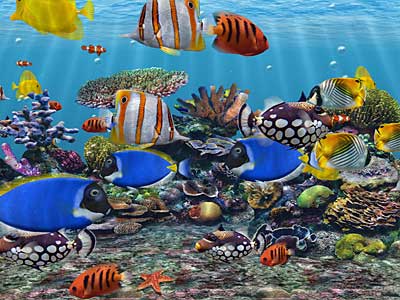 marine aquarium fish screensaver free download 3d