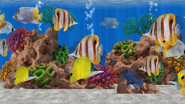marine aquarium screensaver windows 10